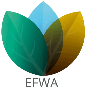 Eco-Friendly Website