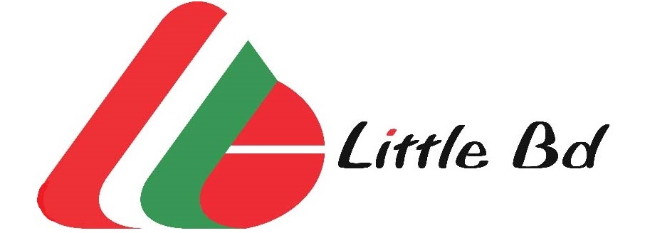 logo_littlebd11